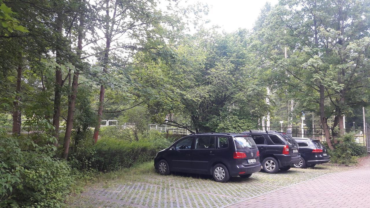 Apartman Lesni Pramen Marianske Lazne Exterior photo